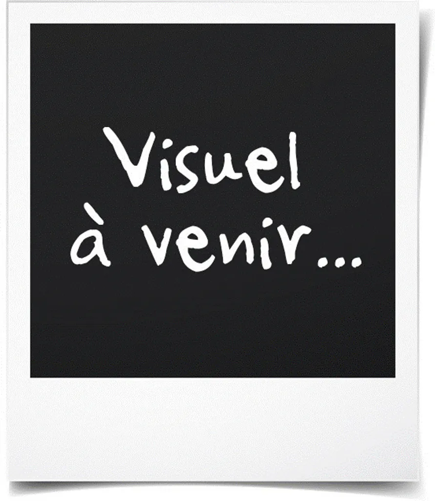 Hasbro F24525L00 My Little Pony Crystal Adventure – Bild 11